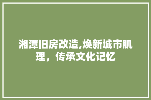 湘潭旧房改造,焕新城市肌理，传承文化记忆