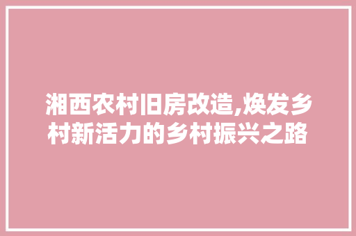 湘西农村旧房改造,焕发乡村新活力的乡村振兴之路