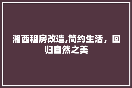 湘西租房改造,简约生活，回归自然之美