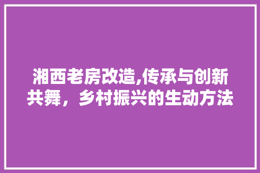 湘西老房改造,传承与创新共舞，乡村振兴的生动方法