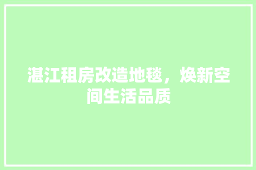 湛江租房改造地毯，焕新空间生活品质