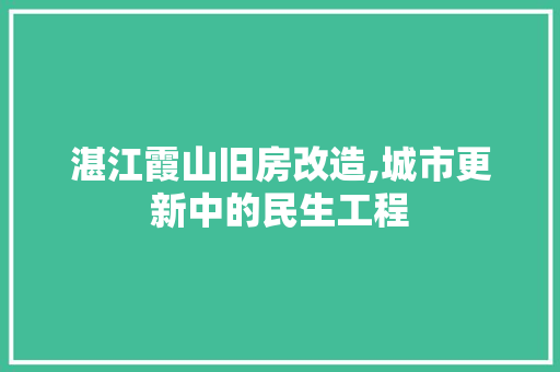 湛江霞山旧房改造,城市更新中的民生工程