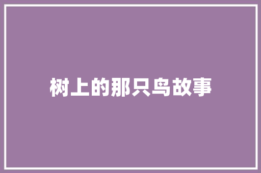 旧房改造，焕新外墙墙面，为家园注入新活力