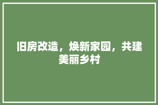 旧房改造，焕新家园，共建美丽乡村