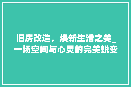 旧房改造，焕新生活之美_一场空间与心灵的完美蜕变