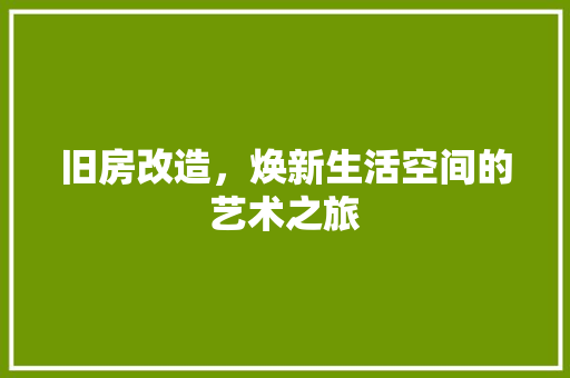 旧房改造，焕新生活空间的艺术之旅