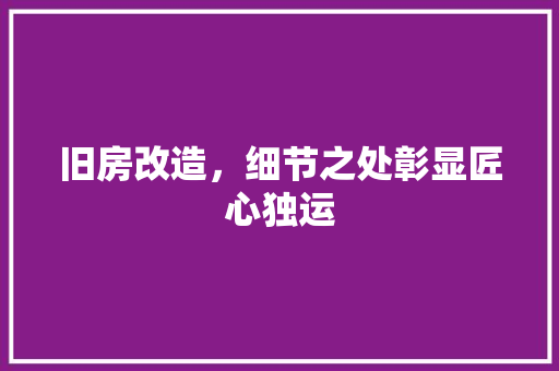 旧房改造，细节之处彰显匠心独运