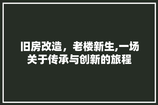 旧房改造，老楼新生,一场关于传承与创新的旅程