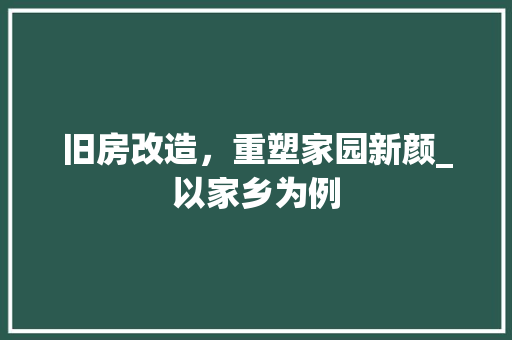 旧房改造，重塑家园新颜_以家乡为例