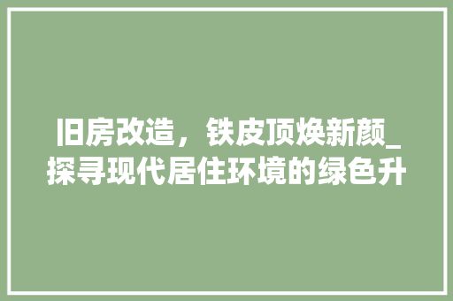 旧房改造，铁皮顶焕新颜_探寻现代居住环境的绿色升级之路
