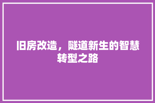 旧房改造，隧道新生的智慧转型之路