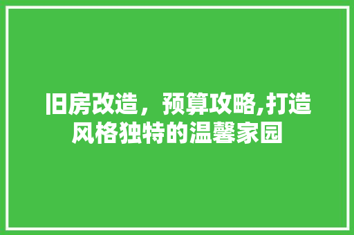 旧房改造，预算攻略,打造风格独特的温馨家园