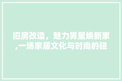 旧房改造，魅力男星焕新家,一场家居文化与时尚的碰撞