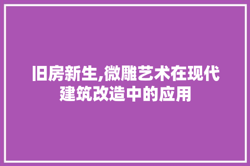 旧房新生,微雕艺术在现代建筑改造中的应用