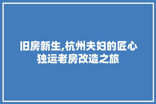 旧房新生,杭州夫妇的匠心独运老房改造之旅