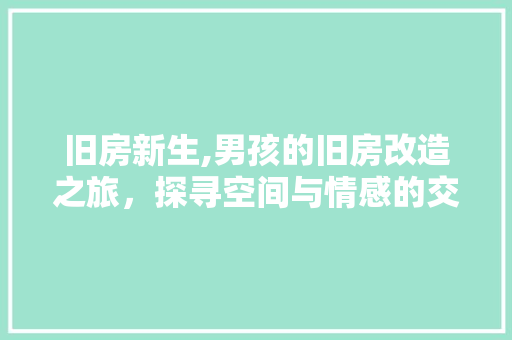 旧房新生,男孩的旧房改造之旅，探寻空间与情感的交融
