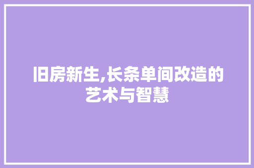 旧房新生,长条单间改造的艺术与智慧