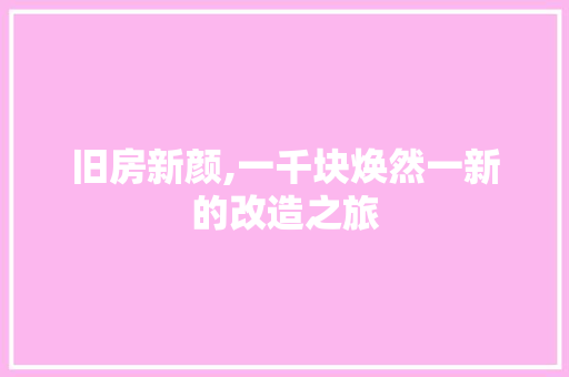 旧房新颜,一千块焕然一新的改造之旅