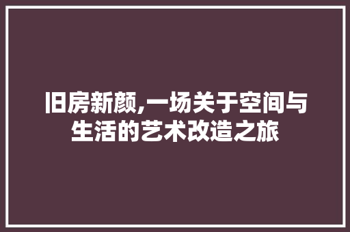 旧房新颜,一场关于空间与生活的艺术改造之旅