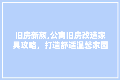 旧房新颜,公寓旧房改造家具攻略，打造舒适温馨家园 墙体维修
