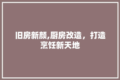 旧房新颜,厨房改造，打造烹饪新天地