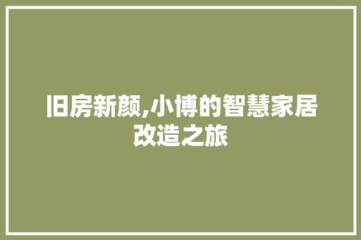 旧房新颜,小博的智慧家居改造之旅