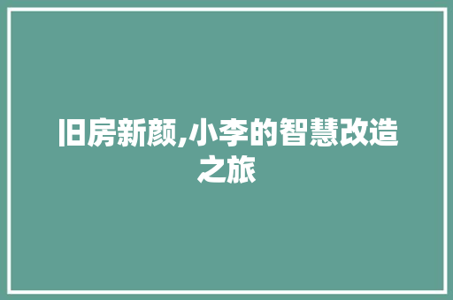 旧房新颜,小李的智慧改造之旅