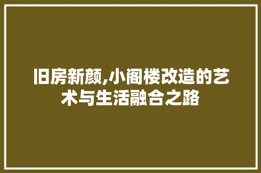 旧房新颜,小阁楼改造的艺术与生活融合之路