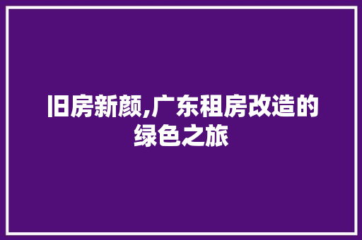 旧房新颜,广东租房改造的绿色之旅