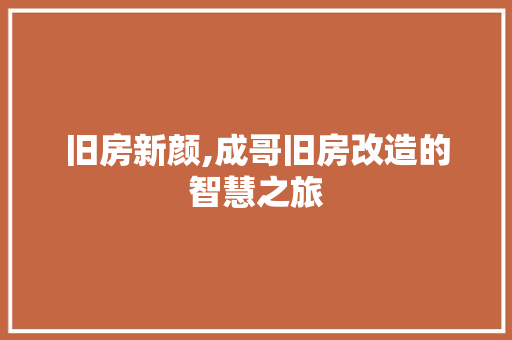 旧房新颜,成哥旧房改造的智慧之旅