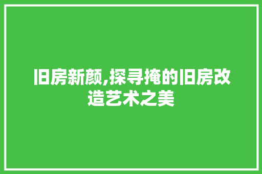 旧房新颜,探寻掩的旧房改造艺术之美