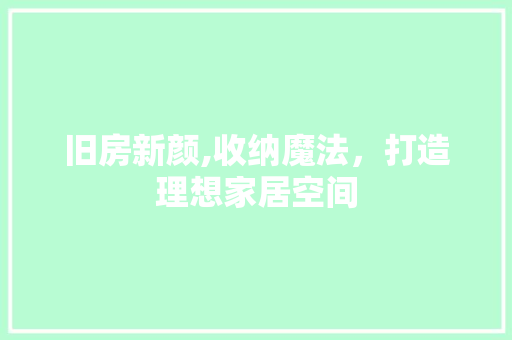 旧房新颜,收纳魔法，打造理想家居空间