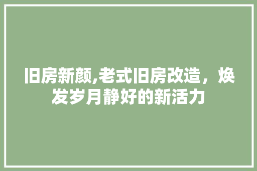 旧房新颜,老式旧房改造，焕发岁月静好的新活力