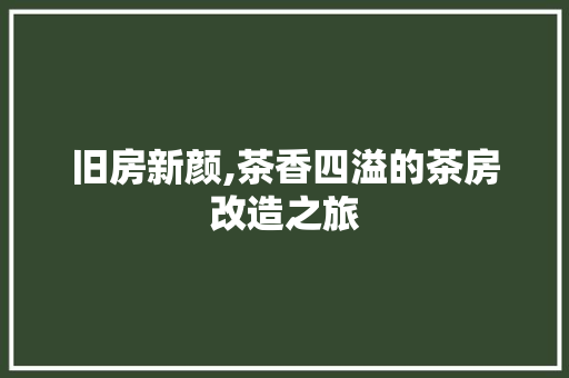 旧房新颜,茶香四溢的茶房改造之旅