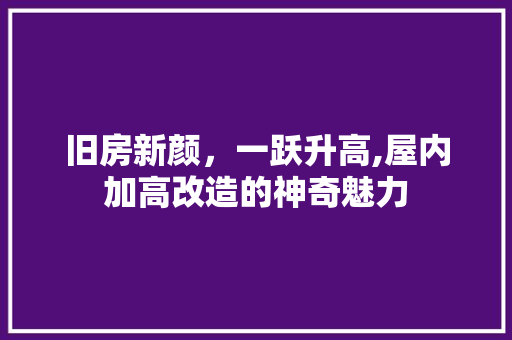 旧房新颜，一跃升高,屋内加高改造的神奇魅力