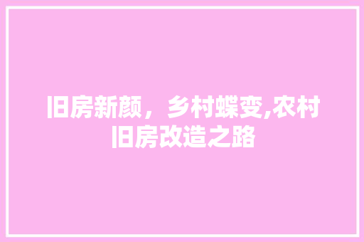 旧房新颜，乡村蝶变,农村旧房改造之路