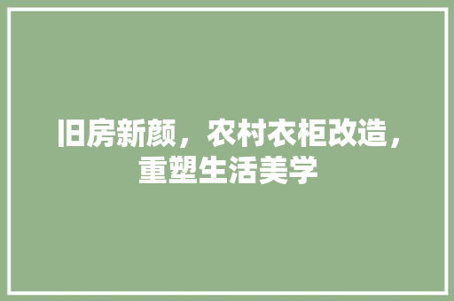 旧房新颜，农村衣柜改造，重塑生活美学