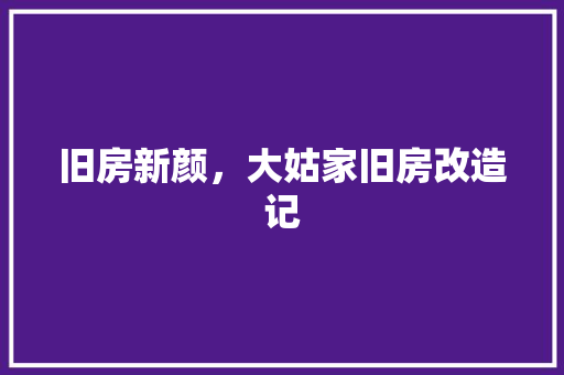 旧房新颜，大姑家旧房改造记
