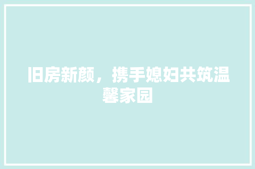 旧房新颜，携手媳妇共筑温馨家园