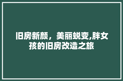 旧房新颜，美丽蜕变,胖女孩的旧房改造之旅