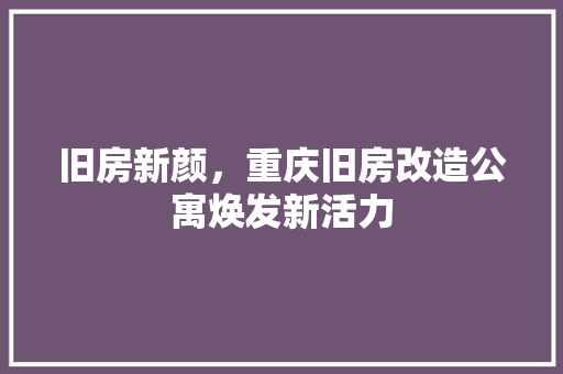 旧房新颜，重庆旧房改造公寓焕发新活力