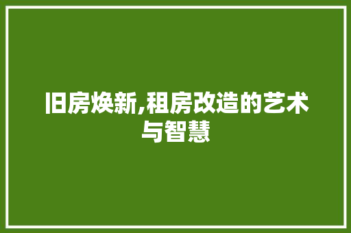 旧房焕新,租房改造的艺术与智慧