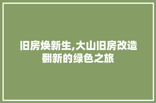 旧房焕新生,大山旧房改造翻新的绿色之旅