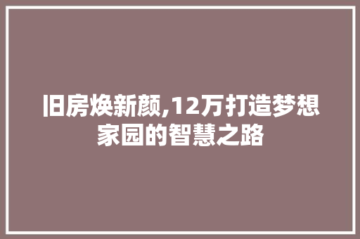 旧房焕新颜,12万打造梦想家园的智慧之路