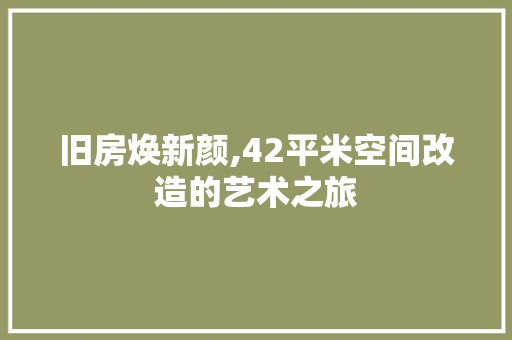 旧房焕新颜,42平米空间改造的艺术之旅