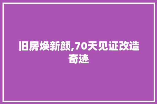 旧房焕新颜,70天见证改造奇迹