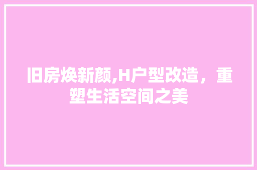旧房焕新颜,H户型改造，重塑生活空间之美