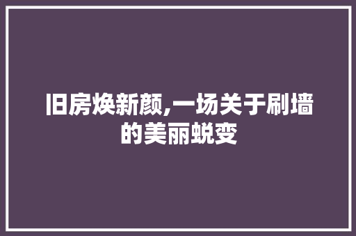 旧房焕新颜,一场关于刷墙的美丽蜕变