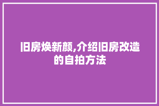 旧房焕新颜,介绍旧房改造的自拍方法