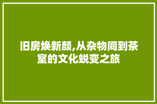 旧房焕新颜,从杂物间到茶室的文化蜕变之旅
